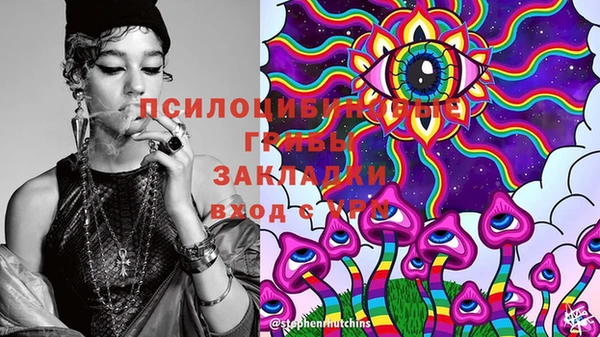 СК Медвежьегорск