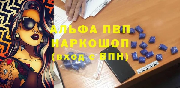 СК Медвежьегорск